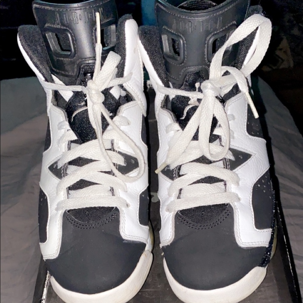Jordan retro 6
